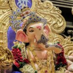 Chitranshi Dhyani