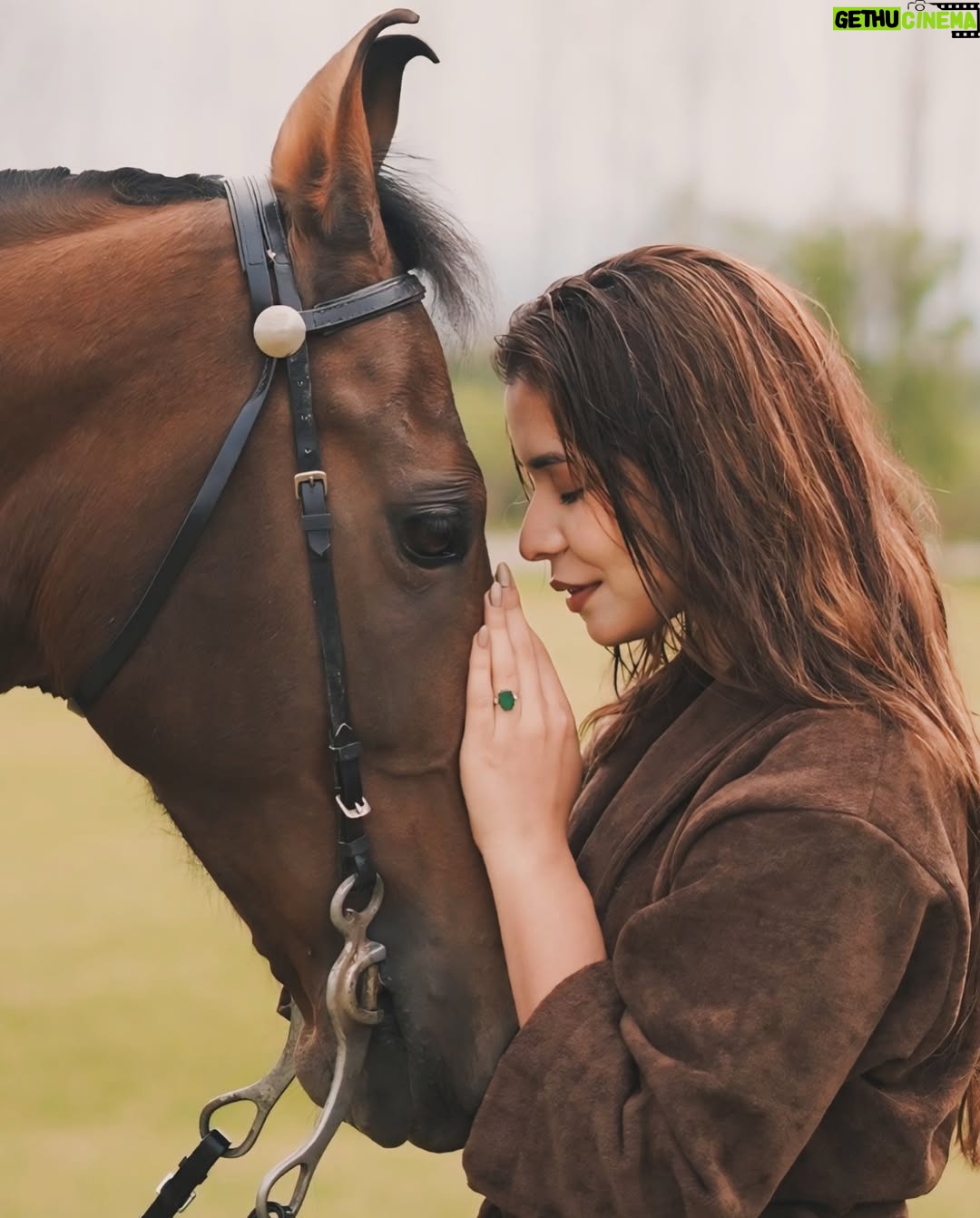Chitranshi Dhyani - 6.8K Likes - Tamed nothing, feared no one.
