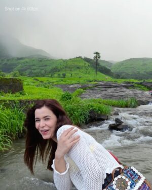 Chitranshi Dhyani Instagram - From giant elephants to green dreams — captured it all in crisp detail with the new OPPO Reno14 Pro 📸✨ Because memories this wild deserve nothing less than 4K!”
zoomed in with 3.5x telephoto magic, and found beauty in the tiniest frame 📷🌱
#OPPOReno14Series #AIPortraitCamera @oppoindia