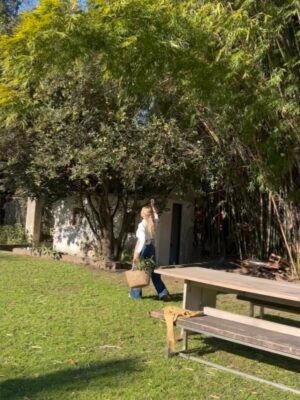 Claudia Fontán Instagram - Sabado 20 de septiembre .
20 hs .
La casa se viste de fiesta!

Cocina abierta,
Mesas compartidas para charlar, conocernos y disfrutar entre copas y sabores .
Despedimos el invierno  y le damos la bienvenida a la primavera !

Nos acompañan @arrivataquesos @elabascaybrandsen @rutiniwines 

Reservas 1156129791
Info en bio @casaangelman 
Los esperamos !!!