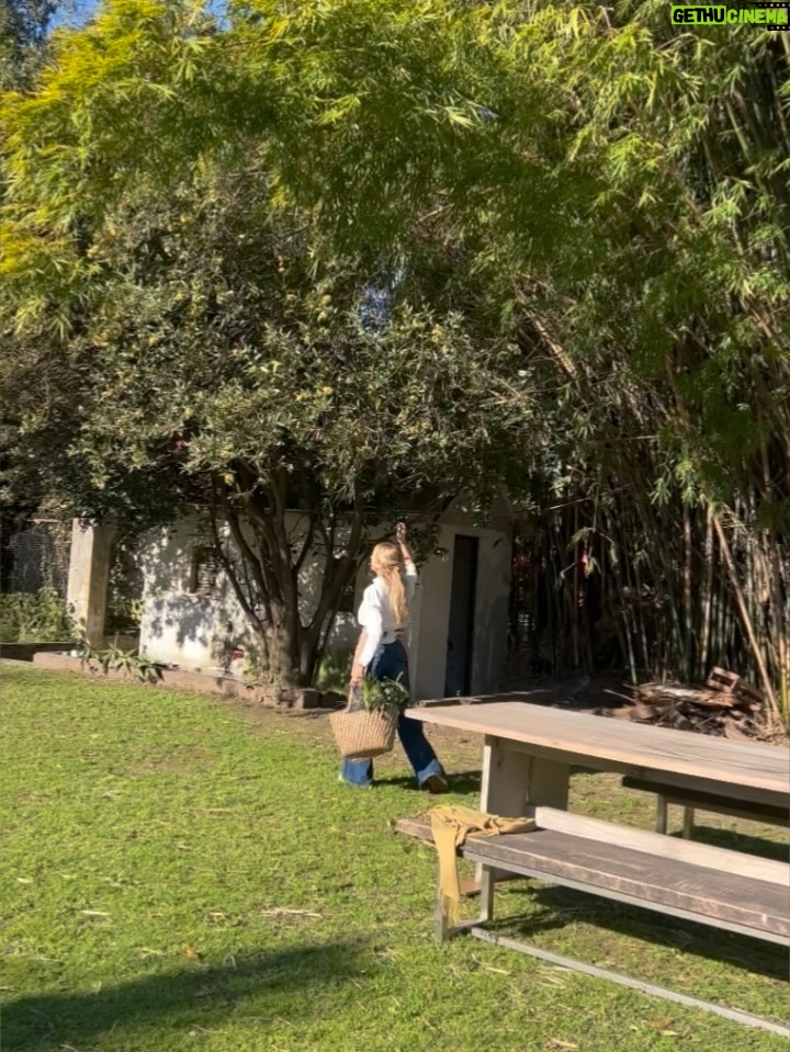 Claudia Fontán - 6.5K Likes - Sabado 20 de septiembre .
20 hs .
La casa se viste de fiesta!

Cocina abierta,
Mesas compartidas para charlar, conocernos y disfrutar entre copas y sabores .
Despedimos el invierno  y le damos la bienvenida a la primavera !

Nos acompañan @arrivataquesos @elabascaybrandsen @rutiniwines 

Reservas 1156129791
Info en bio @casaangelman 
Los esperamos !!!