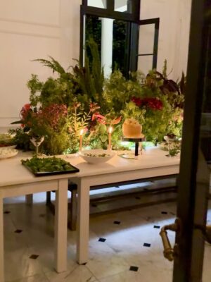 Claudia Fontán Instagram - Una noche especial,mágica en La Casa !
Compartir la mesa , recetas ,charlas , muchas risas y brindis !

Hicimos un tiramisú XL con @arrivataquesos , servimos quesos de @elabascaybrandsen , las maravillosas anchoas de @hernanviva , y el vino de @rutiniwines .
Gracias @pesca.demar por traerme siempre lo mejor!
Gracias al equipo @cookvanoyen y @tatisoding 
Todo en la linda vajilla de @volf_oficial especialmente elegida .
La mesa intervenida por Maria @delta.boutiquedeflores .
Cocinamos con @essenoficial 
Y vestida por @rominasavastano 

Gracias a todos por hacer de esta noche un encuentro inolvidable .
Por muchos encuentros mas !!!

Ph. @caro.pasino