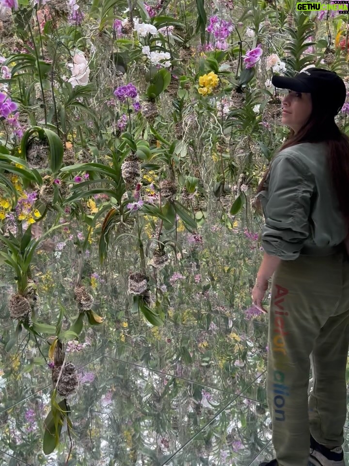 Claudia Lizaldi - 3.4K Likes - ¡Hola Japón! Este sueño comenzó en el corazón de los niños hace unos años y ya estamos aquí, además es una pequeña muestra de la inmensa gratitud que le tenemos a María y el amor que siempre ha tenido por este par de almas que tengo el privilegio de llamar hijos. Estos tres me ven y aprenden de mí así es que no hay decisión que no tenga que ver con darles el mejor ejemplo de amor y lo hermoso que es estar vivos, ser una persona pública tiene muchas bendiciones y al mismo tiempo es muy complejo pues vivimos en la lupa, estos meses han sido intensos pero de todo se aprende y con todo se crece y hoy solo puedo decir que mi gratitud es infinita y absoluta. 

Comienzan 20 días de viaje por estas tierras de fuerza y de paz conquistada, habrá mucho que aprender y compartir…

Pd Este viaje es un regalo de mi para ellos y para mí, gracias a Dios soy una mujer que trabaja y con ello ha logrado este y tantos sueños más ❤️✨

El primer día llegamos a teamLab una absoluta belleza y comimos delicioso, por la tarde más comida rica y caminamos en Ginza y Shibuya Scramble Square, conociendo esta maravilla de ciudad y cultura…