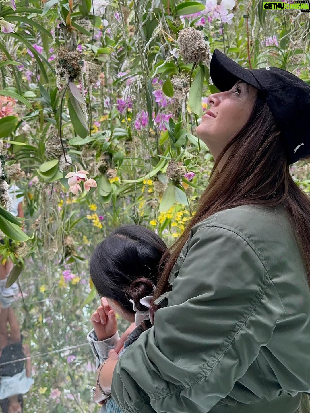 Claudia Lizaldi - 3.4K Likes - ¡Hola Japón! Este sueño comenzó en el corazón de los niños hace unos años y ya estamos aquí, además es una pequeña muestra de la inmensa gratitud que le tenemos a María y el amor que siempre ha tenido por este par de almas que tengo el privilegio de llamar hijos. Estos tres me ven y aprenden de mí así es que no hay decisión que no tenga que ver con darles el mejor ejemplo de amor y lo hermoso que es estar vivos, ser una persona pública tiene muchas bendiciones y al mismo tiempo es muy complejo pues vivimos en la lupa, estos meses han sido intensos pero de todo se aprende y con todo se crece y hoy solo puedo decir que mi gratitud es infinita y absoluta. 

Comienzan 20 días de viaje por estas tierras de fuerza y de paz conquistada, habrá mucho que aprender y compartir…

Pd Este viaje es un regalo de mi para ellos y para mí, gracias a Dios soy una mujer que trabaja y con ello ha logrado este y tantos sueños más ❤️✨

El primer día llegamos a teamLab una absoluta belleza y comimos delicioso, por la tarde más comida rica y caminamos en Ginza y Shibuya Scramble Square, conociendo esta maravilla de ciudad y cultura…