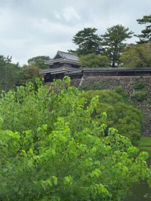 Claudia Lizaldi Instagram - Japón 🇯🇵 es un lugar sagrado detrás del otro porque ese amor que le dan a la naturaleza, ese respeto vibra en cada hoja, en el aire, en cada movimiento, se siente una energía que llena el alma sutil y absolutamente, visitamos el Castillo de madera en Matsua y al bajar el regalo de ver a estos hombres y mujeres representando Samurais fue único, eso según la guía sucede raras veces, la comida, el Museo ADACHI, sus obras y jardines, este jardín ha sido nombrado por 22 años como el más bello de Japón, y para cerrar navegar el canal en Sakaiminato en bote ¡un día más acá que es perfecto! vivir esto con los niños y Mary es un regalo sin par, ❤️✨, agradecida y feliz.