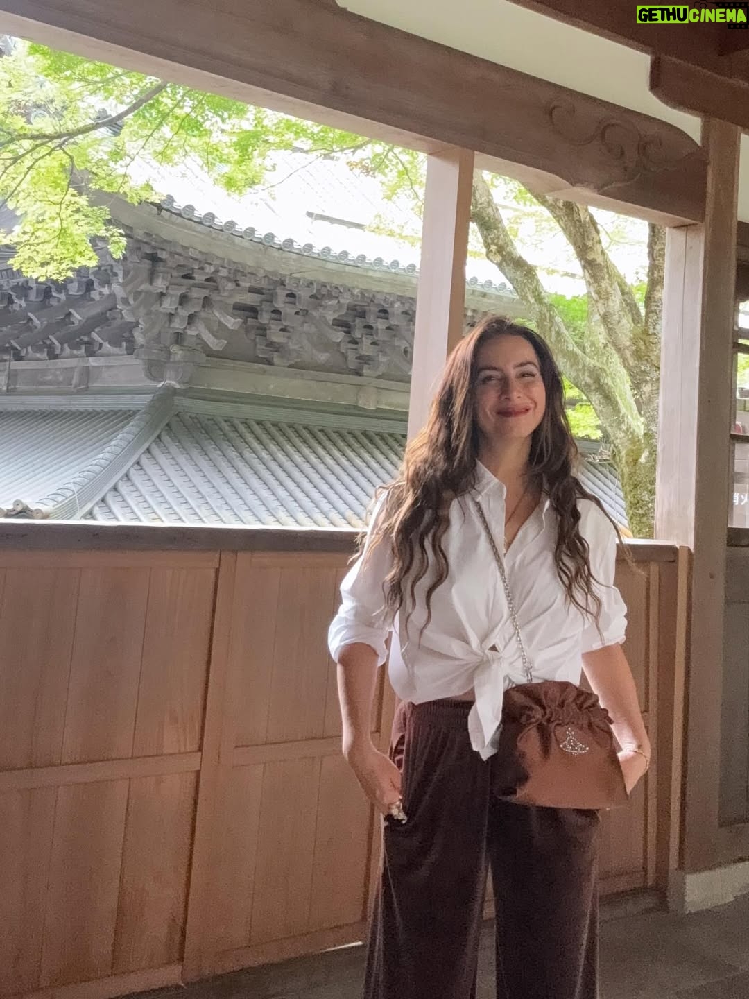 Claudia Lizaldi - 2.8K Likes - Una mañana conmigo y para mi, el silencio y los sonidos de la naturaleza en Japón son sanadores, tuve la fortuna de sentarme a meditar en este templo y fue absolutamente restaurador Eiheiji  sigue activo, los monjes pasan en sus labores a tu lado y me parece por demás generoso el hecho de que se pueda visitar y sentir su energía, también en Ichijodani Asakura que son ruinas recuperadas para su visita significó toda una experiencia, ahí vivían Samurais y poder entrar y ver cómo habitaban el espacio es fantástico, qué gran viaje es Japón… ❤️✨