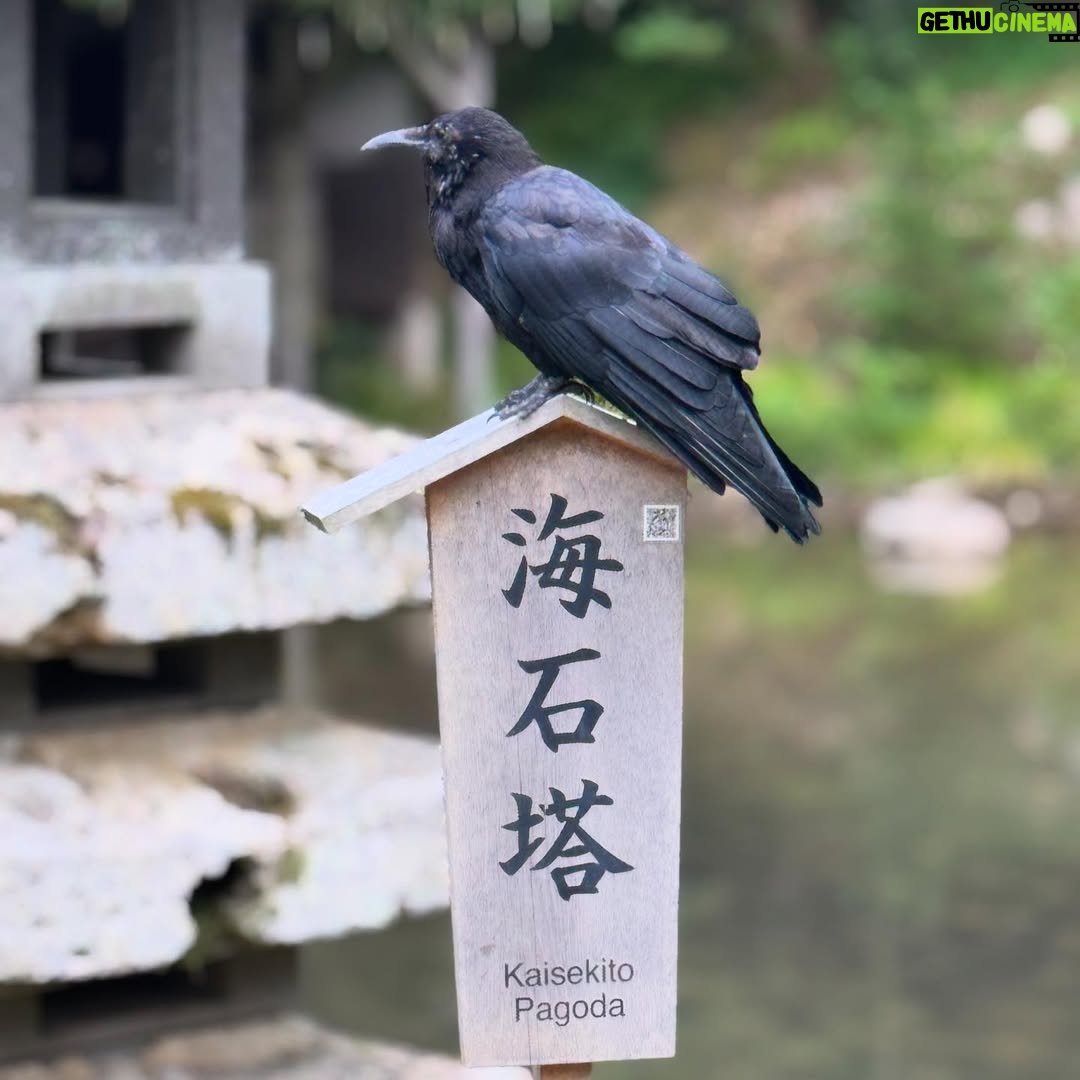 Claudia Lizaldi - 2K Likes - Y este viaje es ya una de las aventuras más hermosas juntos… #kenrokuengarden #japón #AMANDOlaHERMOSAVIDA ❤️ juntos.