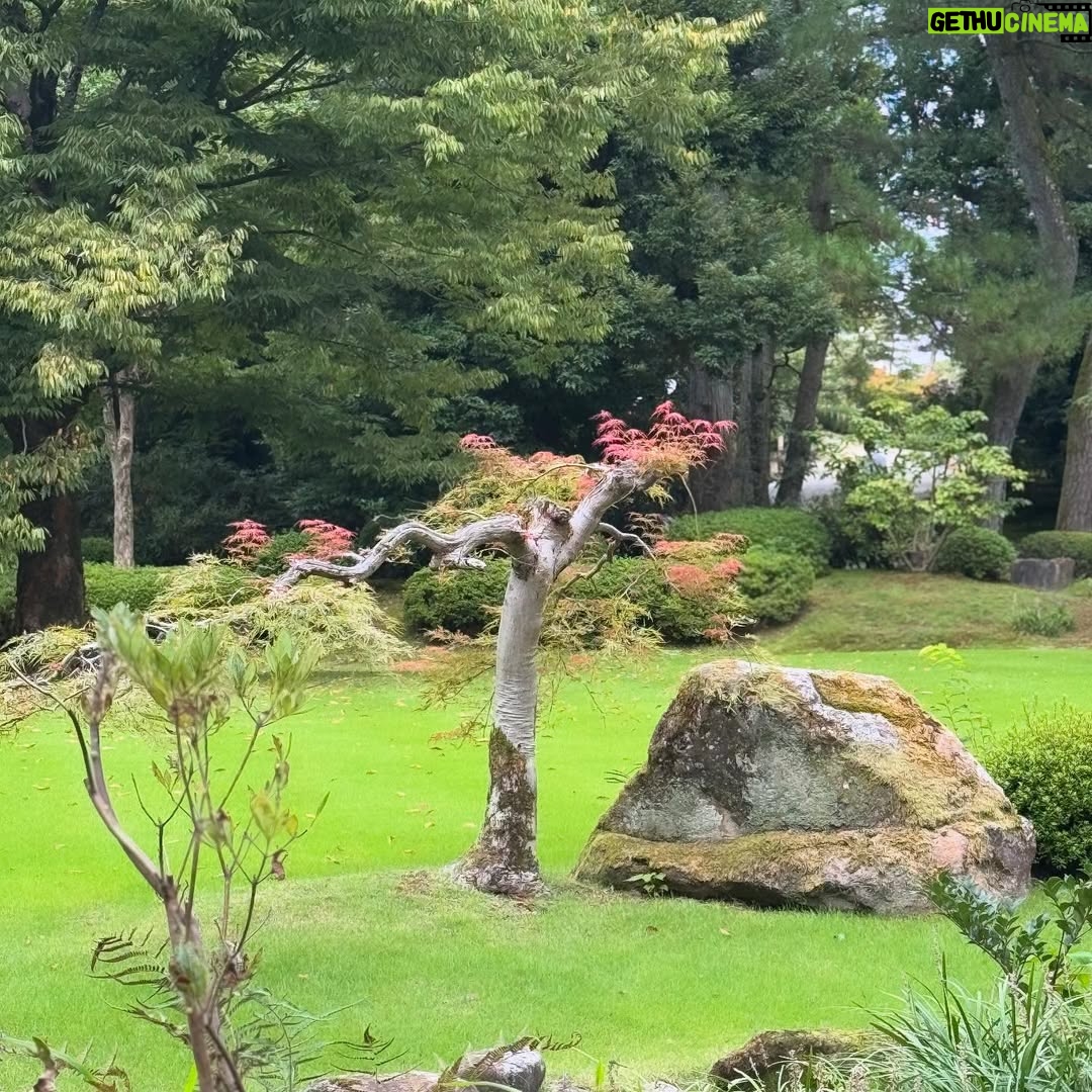 Claudia Lizaldi - 2K Likes - Y este viaje es ya una de las aventuras más hermosas juntos… #kenrokuengarden #japón #AMANDOlaHERMOSAVIDA ❤️ juntos.