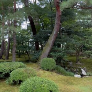 Claudia Lizaldi Instagram - Y este viaje es ya una de las aventuras mĆ”s hermosas juntos⦠#kenrokuengarden #japón #AMANDOlaHERMOSAVIDA ā¤ļø juntos.