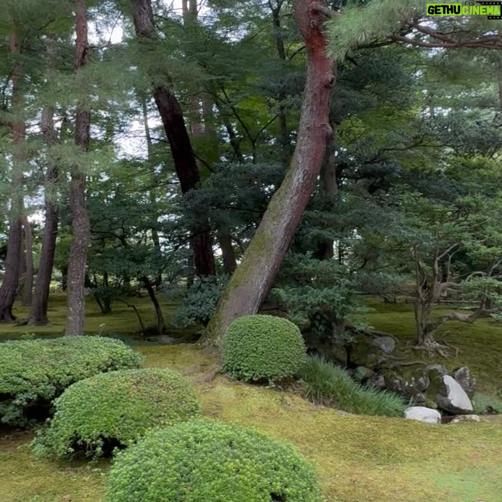 Claudia Lizaldi - 2K Likes - Y este viaje es ya una de las aventuras más hermosas juntos… #kenrokuengarden #japón #AMANDOlaHERMOSAVIDA ❤️ juntos.