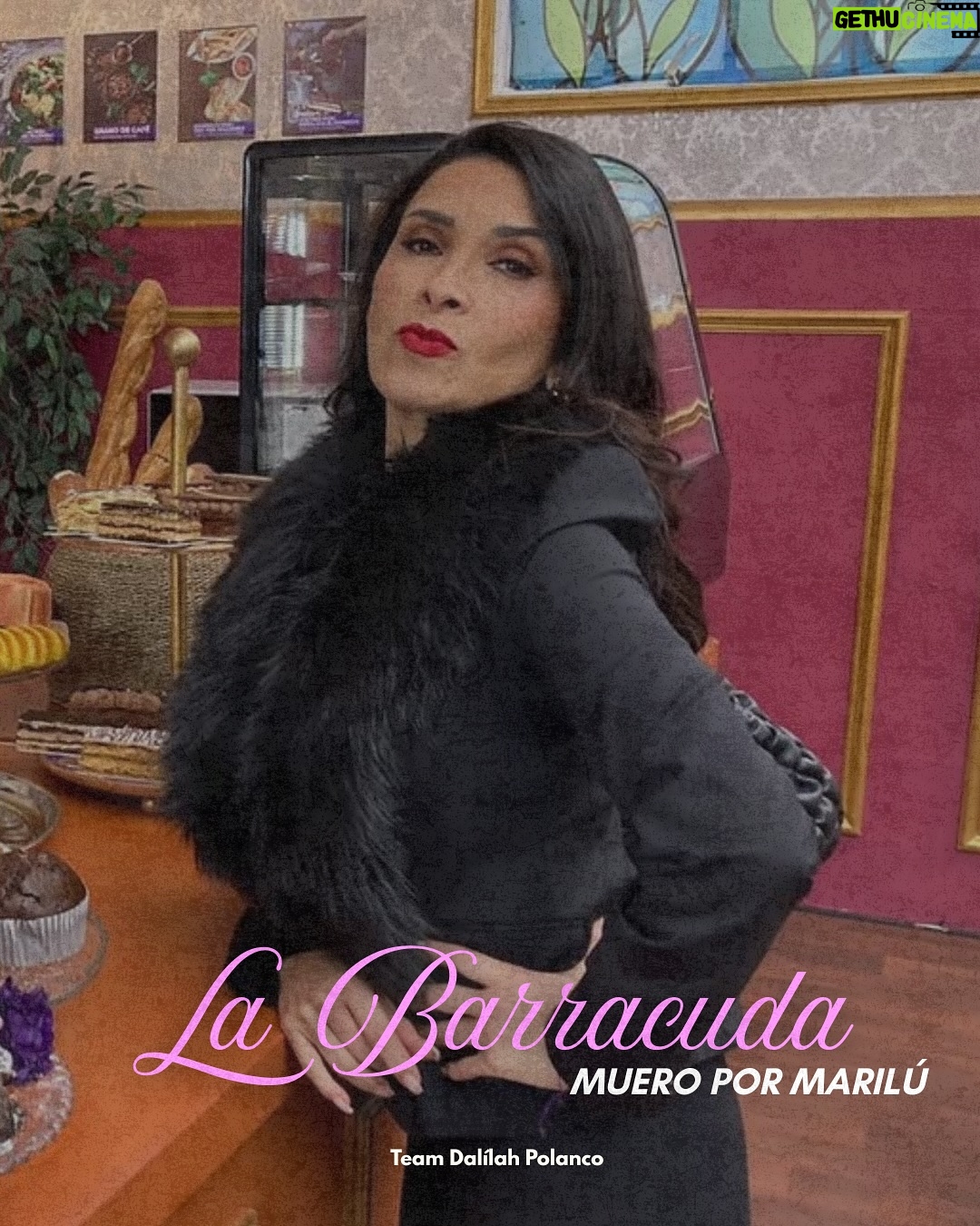 Dalilah Polanco - 8.8K Likes - This is the life of a showgirl 🎭📺

Dalílah Polanco si tiene varios personajes… más de 60 y contando durante sus tres décadas de carrera artística 🤪✨

Acá te dejamos 12 de nuestros favoritos ¿cuál crees que nos faltó? 👀

#TeamDalilahPolanco #teamdalilah #dalilahpolanco #dalilah #lcdlf #lcdlfmx #lacasadelosfamosos