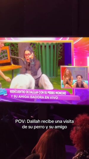 Dalilah Polanco Instagram - @polancodalilah recibe la visita de su amiga Isadora y su perrito Moncho š„¹š
SUSCRĆBETE AHORA a #ViX y disfruta sin interrupciones el 24/7š„ RUMBO A LA GRAN FINAL
#Original #Ch #LaCasaDeLosFamososMx