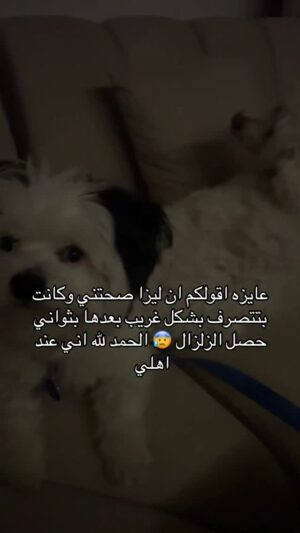 Dana Hamdan Instagram - #earthquake #egypt #fyp