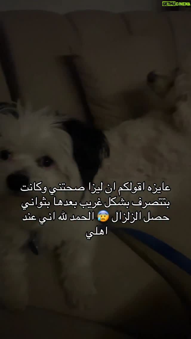 Dana Hamdan - 1.3K Likes - #earthquake #egypt #fyp