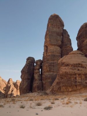 Davina Karamoy Instagram - بُنِّي