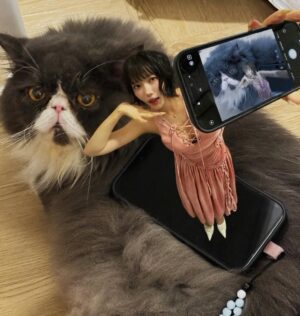 Dieu Nhi Instagram - ❤️ Con mèo kêu sao zạ ??? Đây là Chà Bông con mẹ Luận 😘