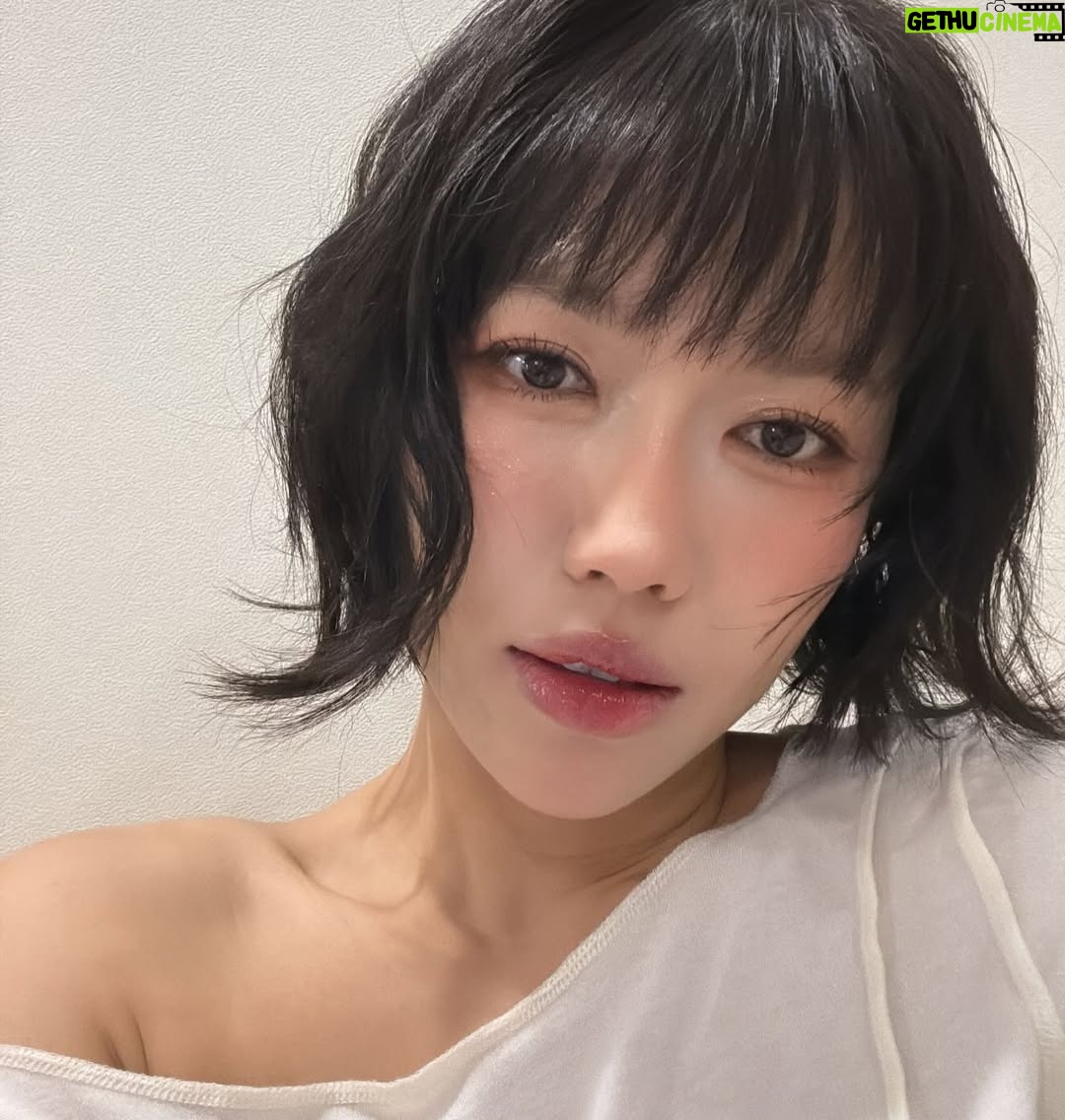 Dieu Nhi - 61.1K Likes - ❤️ Con mèo kêu sao zạ ??? Đây là Chà Bông con mẹ Luận 😘