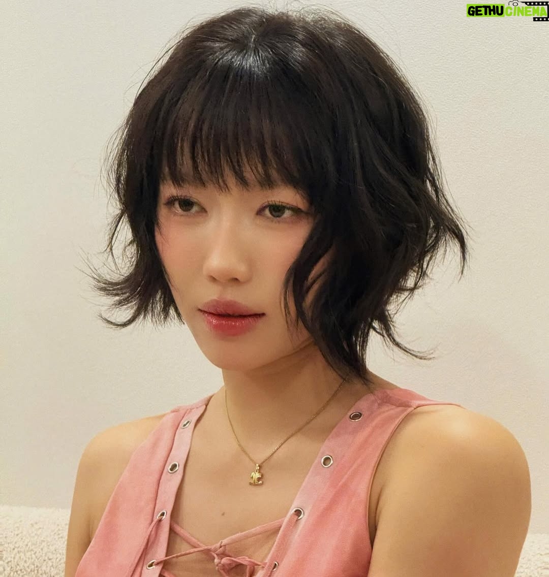 Dieu Nhi - 61.1K Likes - ❤️ Con mèo kêu sao zạ ??? Đây là Chà Bông con mẹ Luận 😘