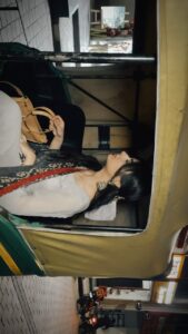 Actress Dilsheen Kaur HD Photos and Wallpapers June 2025