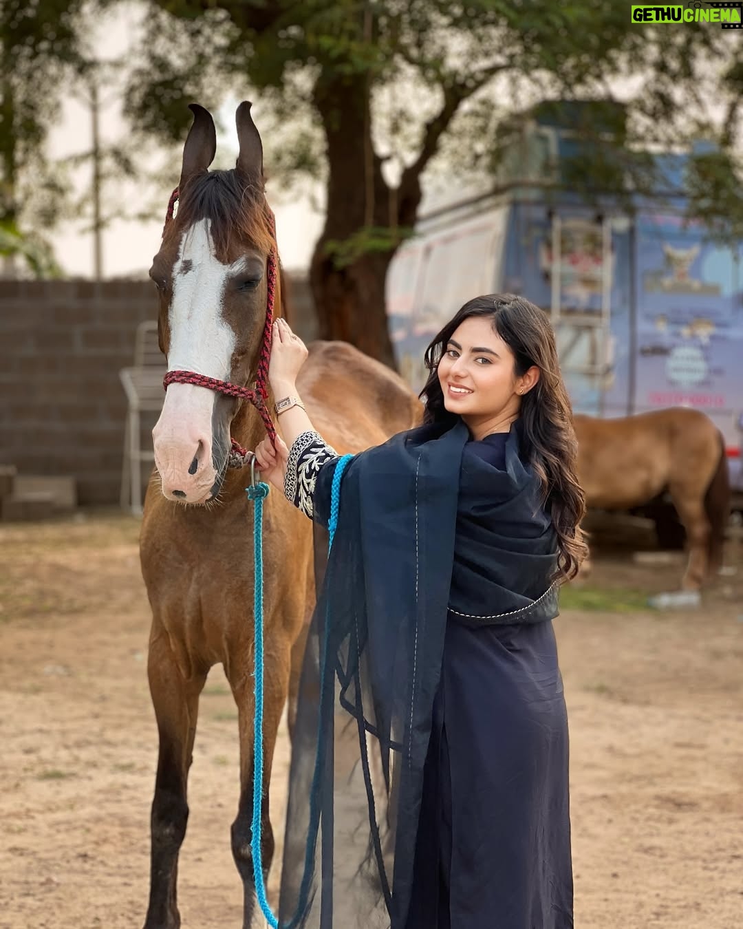 Dilsheen Kaur - 41.6K Likes - 🐎❤️ @idilsheenkaur #dilsheenkaur 
📸~ @cinevogue_cinematography