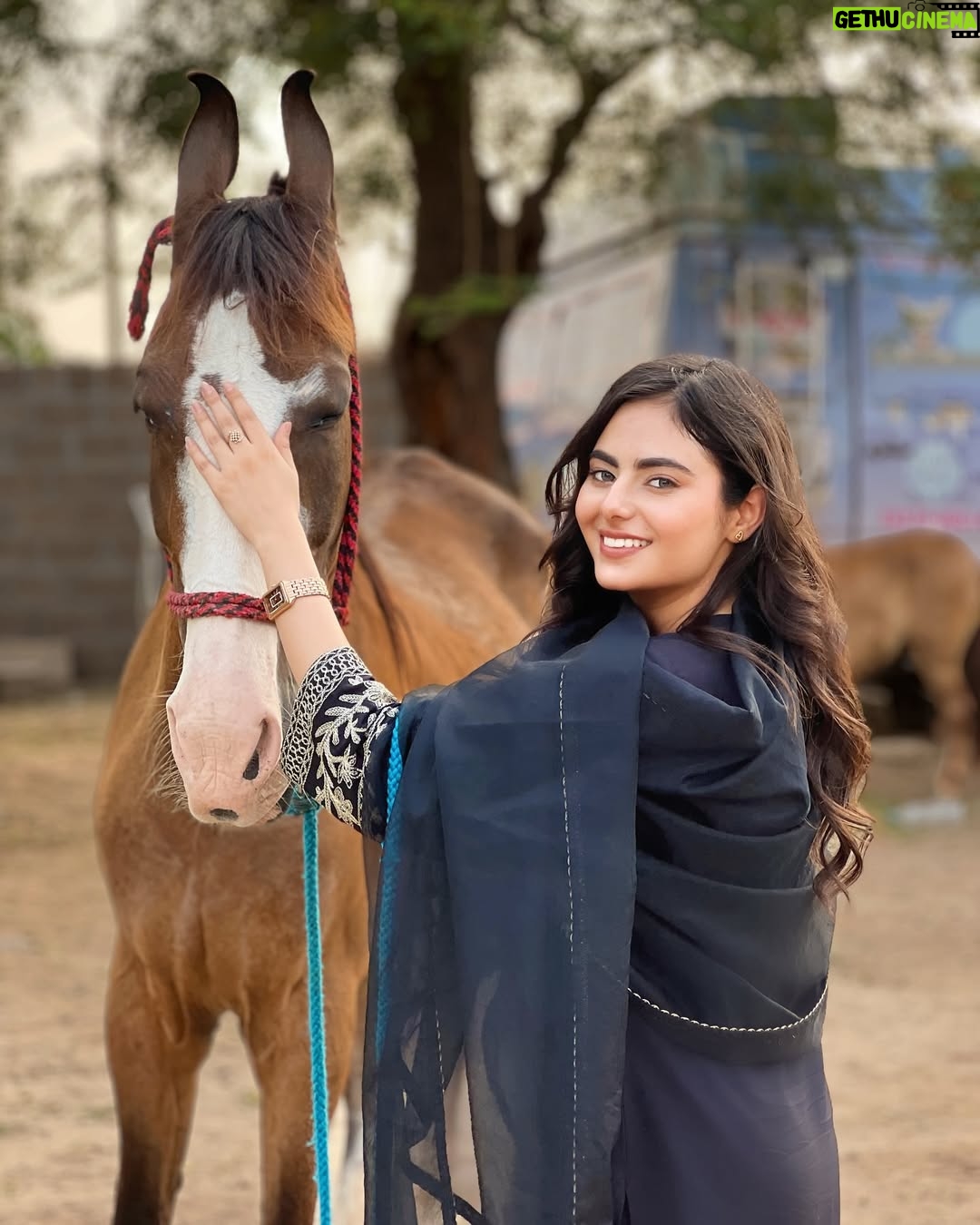 Dilsheen Kaur - 41.6K Likes - 🐎❤️ @idilsheenkaur #dilsheenkaur 
📸~ @cinevogue_cinematography