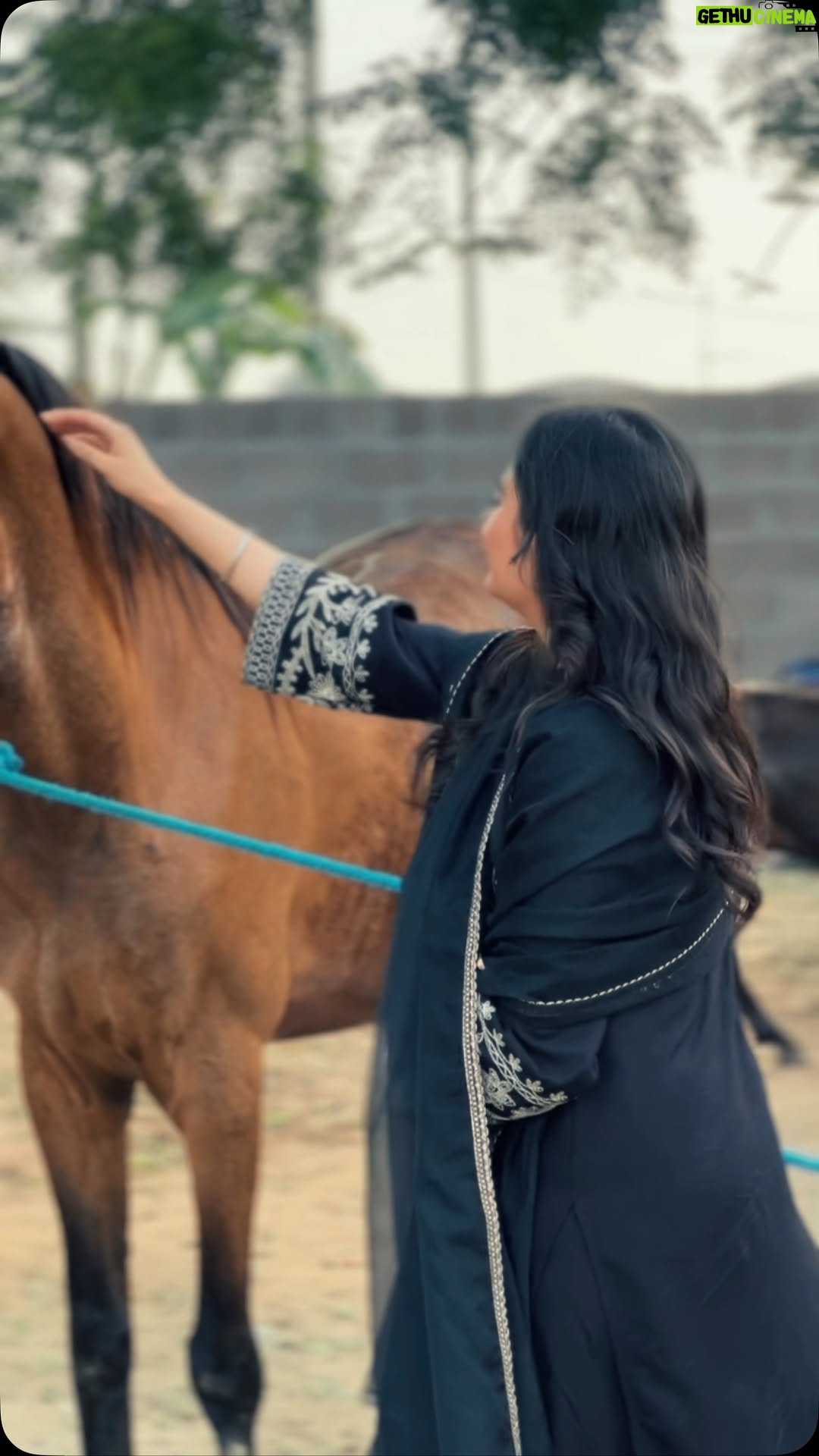 Dilsheen Kaur - 15K Likes - 🤭🔥 @idilsheenkaur #dilsheenkaur 
📸📽️~ @cinevogue_cinematography