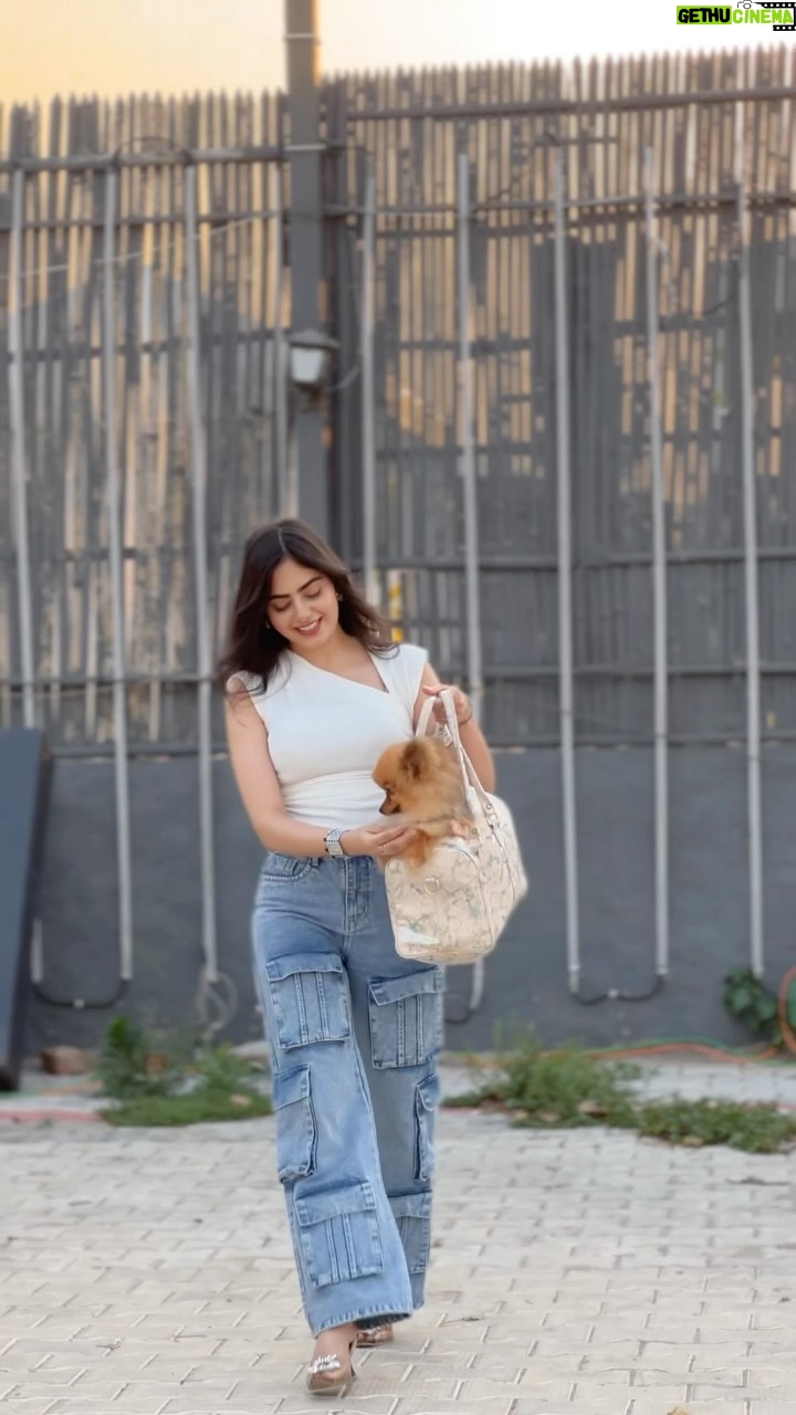 Dilsheen Kaur - 23K Likes - 🐶👜✨🤭❤️ @idilsheenkaur @nawab.__.777 #dilsheenkaur