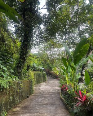 Dinda Kirana Instagram - Take yourself on a solo trip.
Disconnect. Recharge. Reconnect.
Let nature hold you, let silence heal you,
and let new souls remind you that magic is realāespecially when youāre not looking for it ( if u dare to feel it š±)
and soulful strangers who turned into new friends.
Nyepi in Bali, thank you for the reset I didnāt know I needed.