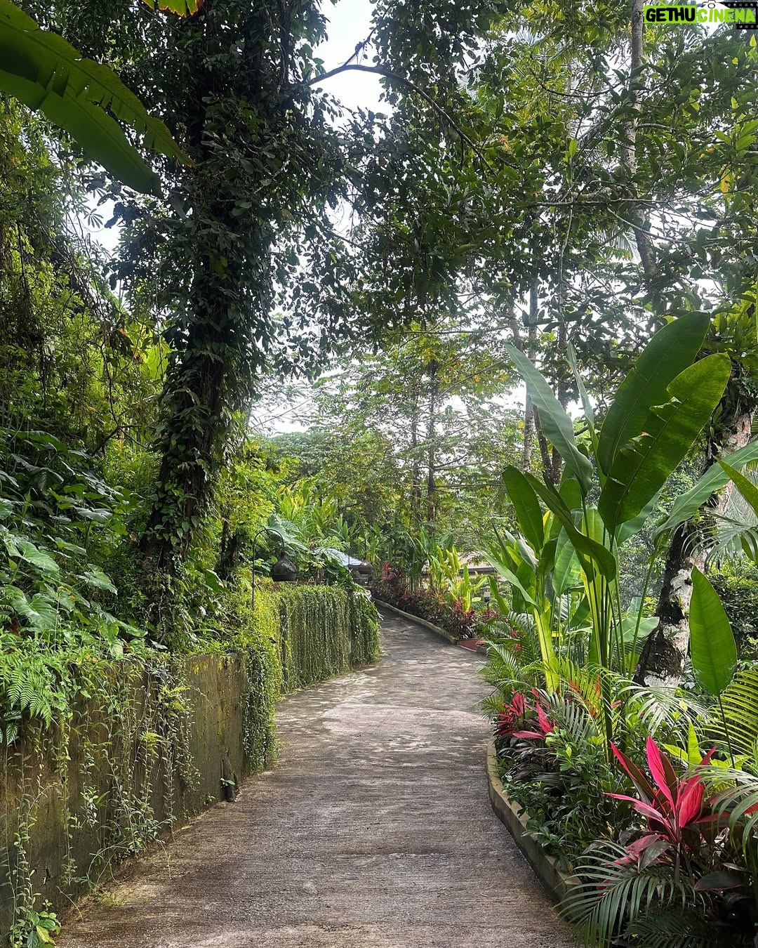 Dinda Kirana - 58K Likes - Take yourself on a solo trip.
Disconnect. Recharge. Reconnect.
Let nature hold you, let silence heal you,
and let new souls remind you that magic is real—especially when you’re not looking for it ( if u dare to feel it 🌱) 
and soulful strangers who turned into new friends.
Nyepi in Bali, thank you for the reset I didn’t know I needed.