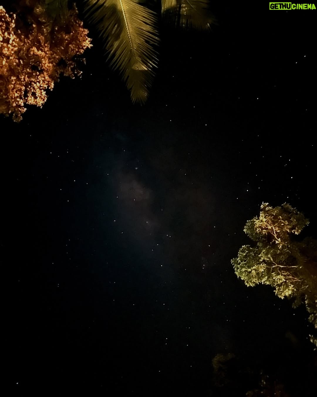 Dinda Kirana - 58K Likes - Take yourself on a solo trip.
Disconnect. Recharge. Reconnect.
Let nature hold you, let silence heal you,
and let new souls remind you that magic is real—especially when you’re not looking for it ( if u dare to feel it 🌱) 
and soulful strangers who turned into new friends.
Nyepi in Bali, thank you for the reset I didn’t know I needed.