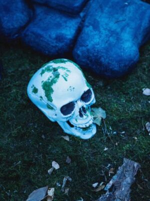 Dineo Langa Instagram - What a delicious burial for boring! Dying to do it again, alas... #nevermore4evermore 🪦⚰️ #auntyniecedate
New season of Wednesday coming soon