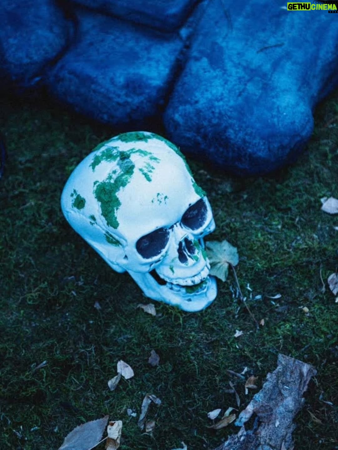 Dineo Langa - 31.6K Likes - What a delicious burial for boring! Dying to do it again, alas... #nevermore4evermore 🪦⚰️ #auntyniecedate 

New season of Wednesday coming soon
