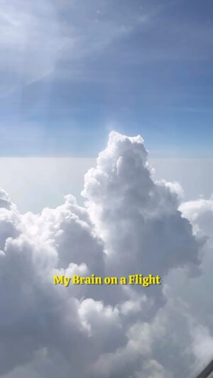 Divyanshi Jaiswal Instagram - My brain even debates if the pilot needs my help flying this thing. 🧠✈️
.
.
.
.
[ Unqualified Co-Pilot, My brain on a Plane, Overthinking ]
.
.
.
#overthinking #brainfog #reelsinstagram #travelgram