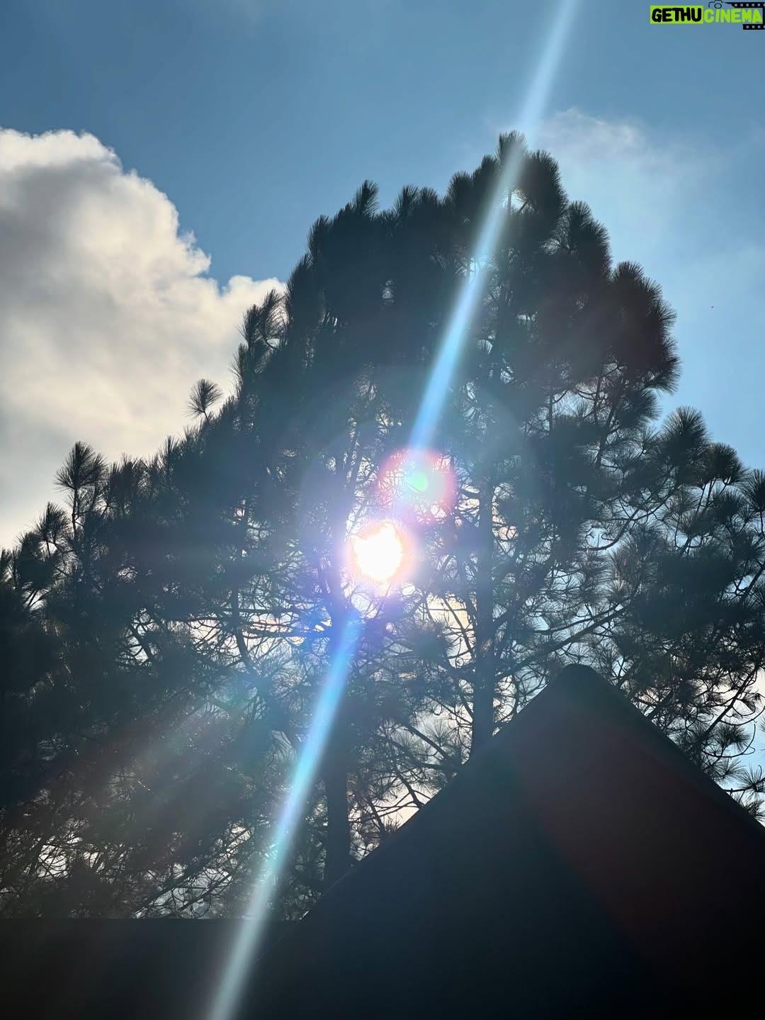 Divyanshi Jaiswal - 1.7K Likes - I love small getaways from reality 🤌🏼
Lansdowne was peaceful and honestly, just what I needed.
Such a beautiful experience.🌼