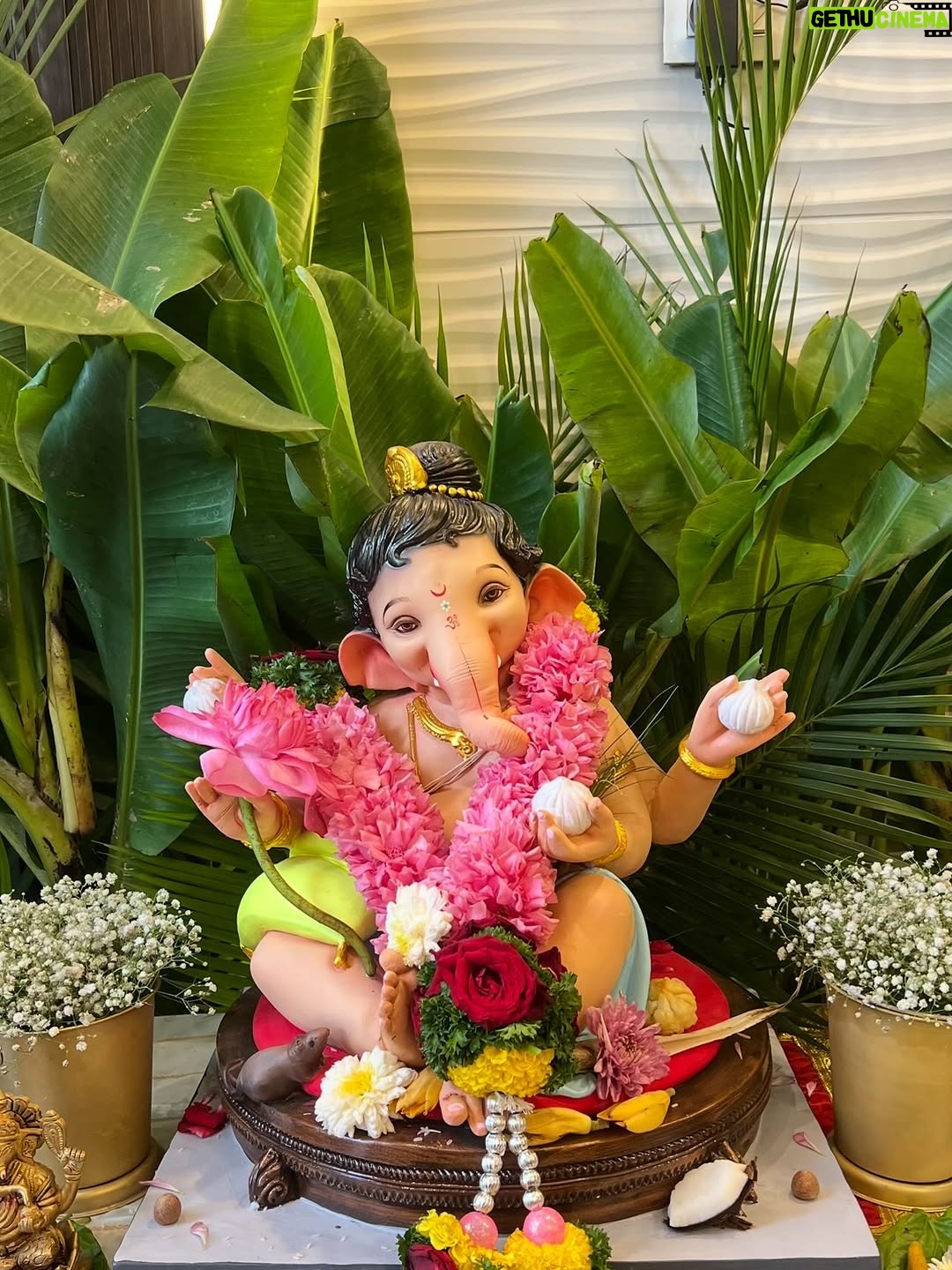 Doll Daundkar - 42.9K Likes - गणपती बाप्पा मोरया !! 🪷🪞🦢🌺