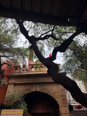 Drishti Kharbanda Instagram - शुभ जन्माष्टमी 🌸