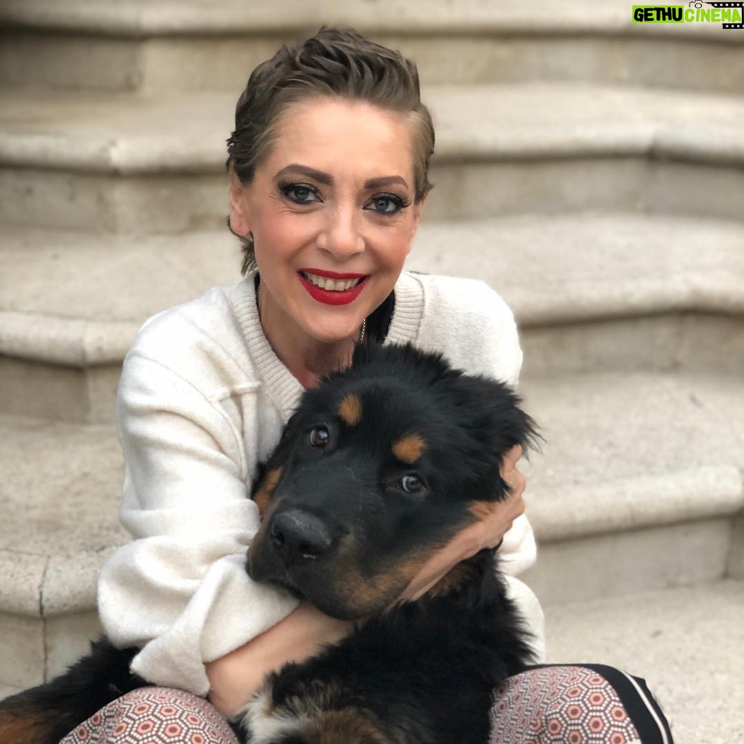 Edith González - 55.8K Likes - Domingo tempranero! Marido...., dormidito. Cons en pijamada con una de sus mejores amiguitas y pus me tocó desayunito madrugador, digo pa ser domingo y apapachos con #Oreo y @cedric_guauguau. #smile 😃😜
