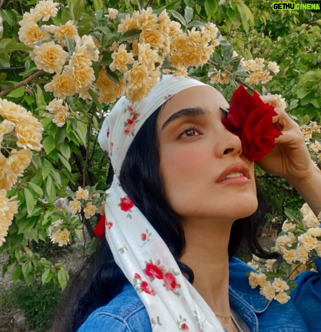 Elahe Hesari - 59.9K Likes - 🤍
ورق زدنی🥰
#elahehesari