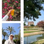 Elfira Loy