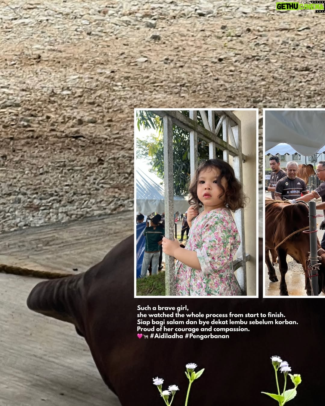 Elfira Loy - 14.3K Likes - Selamat Hari Raya Aidiladha semua! 
Taqabbalallahu minna wa minkum. ✨

Semoga kisah pengorbanan Nabi Ibrahim a.s. sentiasa menjadi inspirasi dan teladan yang kita wariskan kepada anak-anak serta generasi akan datang, agar semangat berkorban dan keikhlasan dalam beribadah terus subur dalam jiwa kita semua.

Sesungguhnya, qurban bukan sekadar memberi ketika berlebihan, tetapi juga tentang keikhlasan melepaskan sesuatu yang kita sayangi demi meraih redha Ilahi. 
Moga setiap pengorbanan yang dilakukan diterima Allah dan membawa keberkatan serta rahmat buat kita dan keluarga.