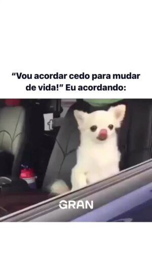 Ellen Rocche Instagram - Bom dia! Boa semana, seus lindos ❤️