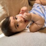 Farah Hadi