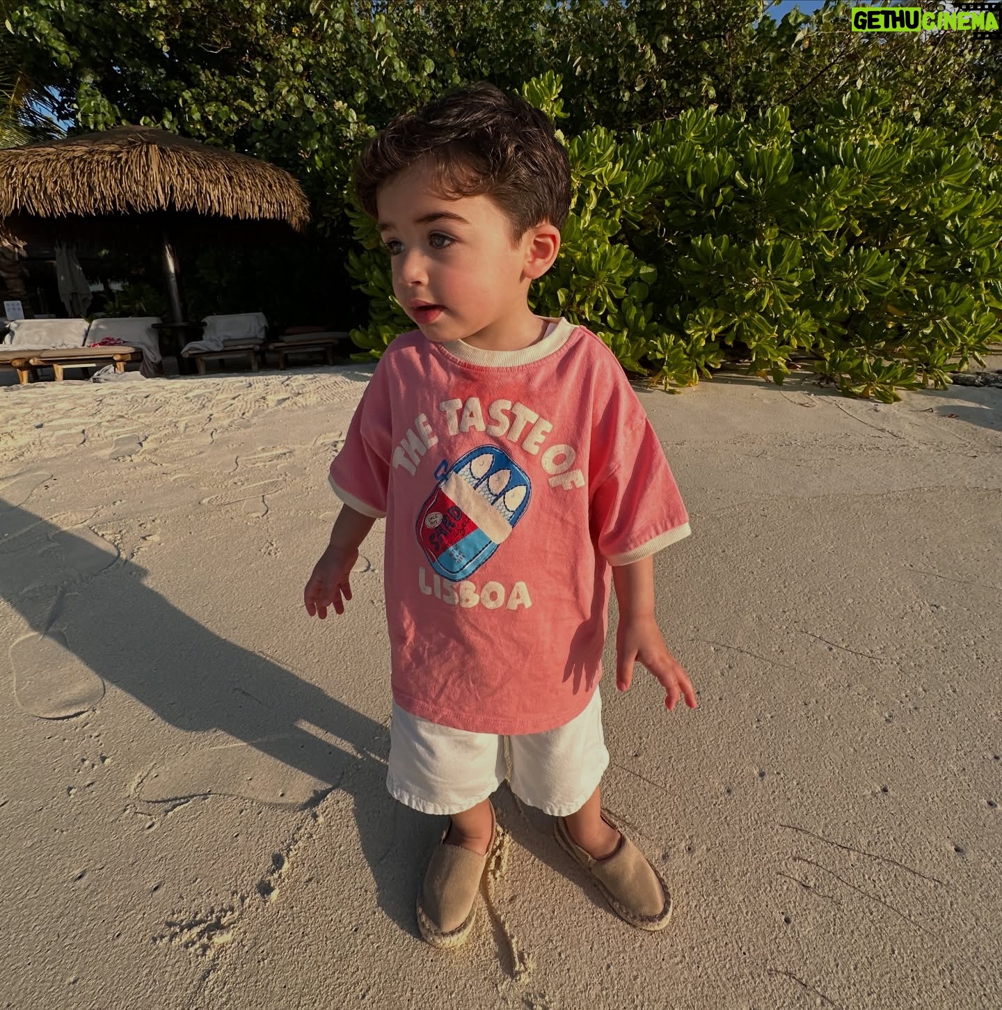 Farah Hadi - 110.2K Likes - مشيني حدك مشيني 🩵🏝️
#فرح_الهادي #عقيل_الرئيسي #ادم_الرئيسي #نوح_الرئيسي #summer #family #mybaby