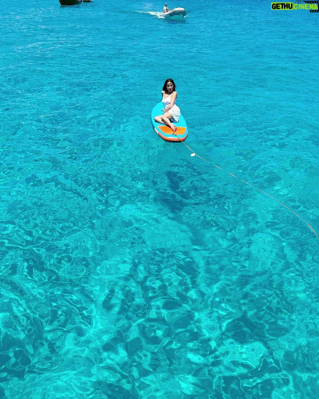 Fatima Al-Momen - 15.9K Likes - My summer job includes watching shark attack videos at night and being a shark inspector during the day time