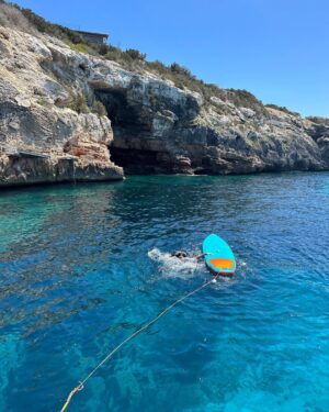Fatima Al-Momen Instagram - My summer job includes watching shark attack videos at night and being a shark inspector during the day time