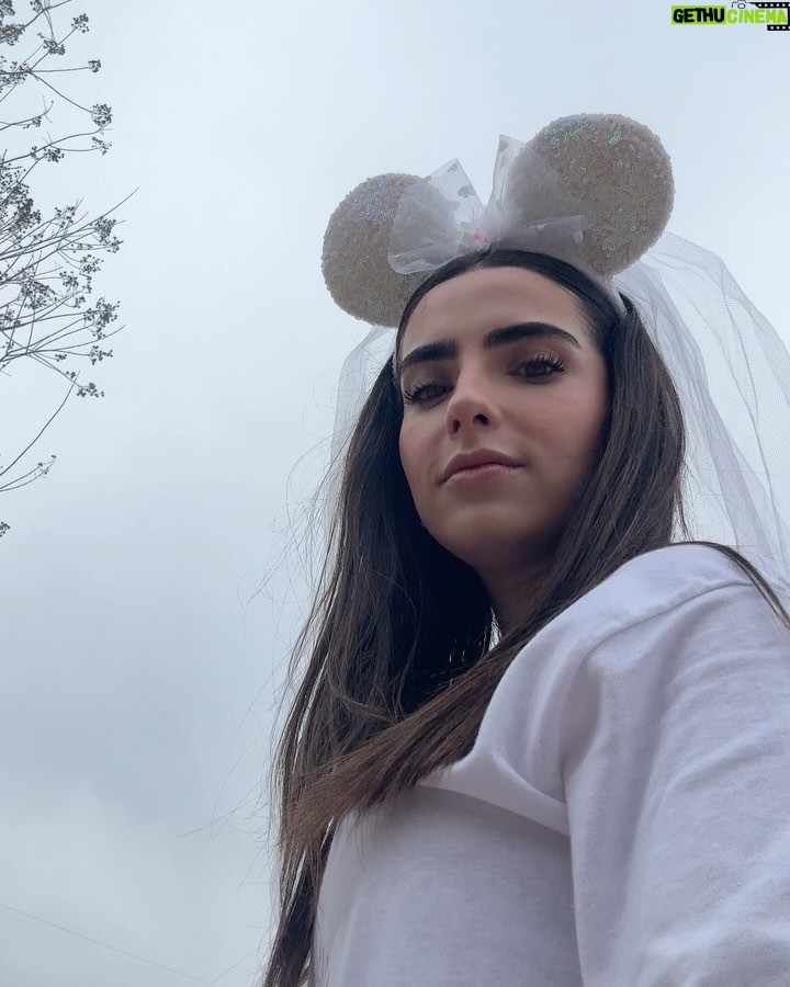 Fernanda Urdapilleta - 184.9K Likes - bach day 3 🏰❤️
“the bach club takes Disney” 

un sueño hecho realidad: caminar con mis orejas de Minnie Mouse versión bride con mis mejores amigas y mis hermanas por todo Magic Kingdom! Ese día fue MUY mágico y se quedará por siempre en mi corazón! Y si, @merygalindo_ tomó la foto más pinterest del mundo (la penúltima 🫶🏼)