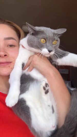 Ferny Graciano Instagram - En esta cuenta amamos a los gatos ❤️