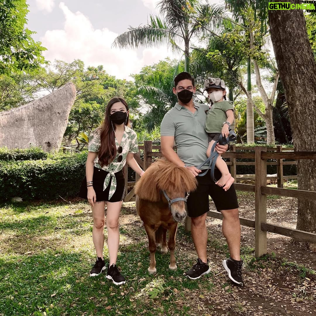 Franda - 44.4K Likes - Had so much fun at @balizoo 🥳🎉
Ini kedua kalinya ke Balizoo dan ga pernah bosen 🤩 Apalagi ada yg baru di Balizoo yaitu area Savannah, suasananya Afrika gituu.. kita bisa liat plus kasih makan African Lion-nya Balizoo yang gagah & terlihat sehat bangettt 🦁
.
Yang punya anak wajib sih kesini.. tempatnya nice & kids friendly banget.. anak2 pasti suka deh! 🎉
.
@balizoo
#explorebalizoo #balizoo #bali
#SamuelFrandaVechia