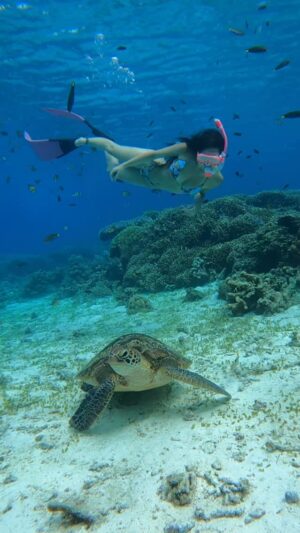 Franki Russell Instagram - i like turtles 🐢🥰🧜🏼♀️