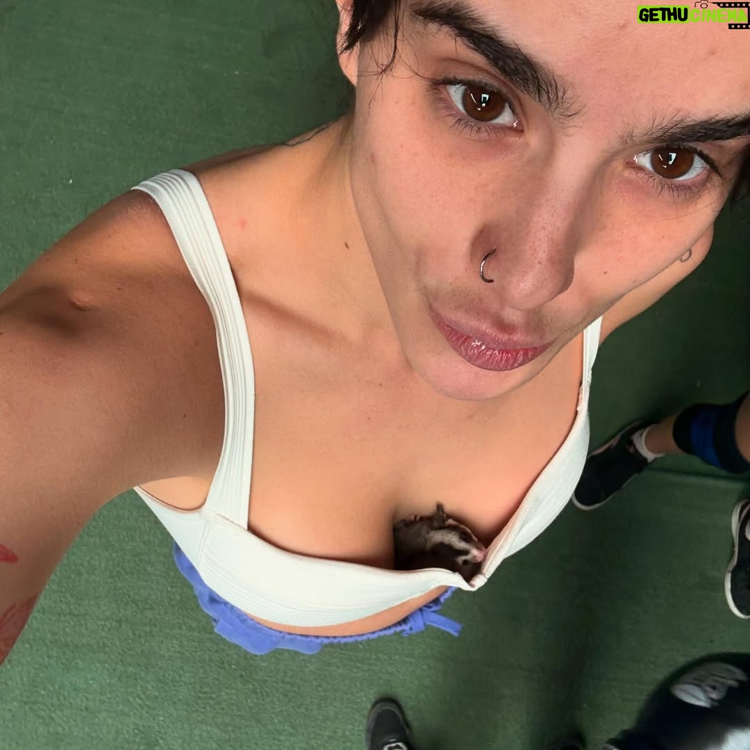 Gala Montes - 98.2K Likes - Dumpsito 

1. 💪🏼
2.💪🏼
3.petunia 🥹
4. Respirando box 🥊
5. Más petunia 
6. Fue cumple de mi profe ❤️‍🩹
No les pongo a mi papá pq se enamoran 😄😄😄

…. No se pierdan faisy nights hoy a las 10:30 pm 💜